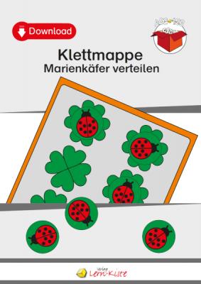 TEACCH, TEACCH Arbeitsmappe, TEACCH Klettmappe, TEACCH-Ansatz, Motorik, Auge-Hand-Koordination