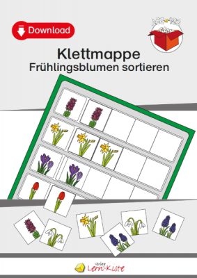 Frühlingsblumen sortieren [Digital]