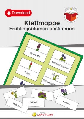 Frühlingsblumen bestimmen [Digital]